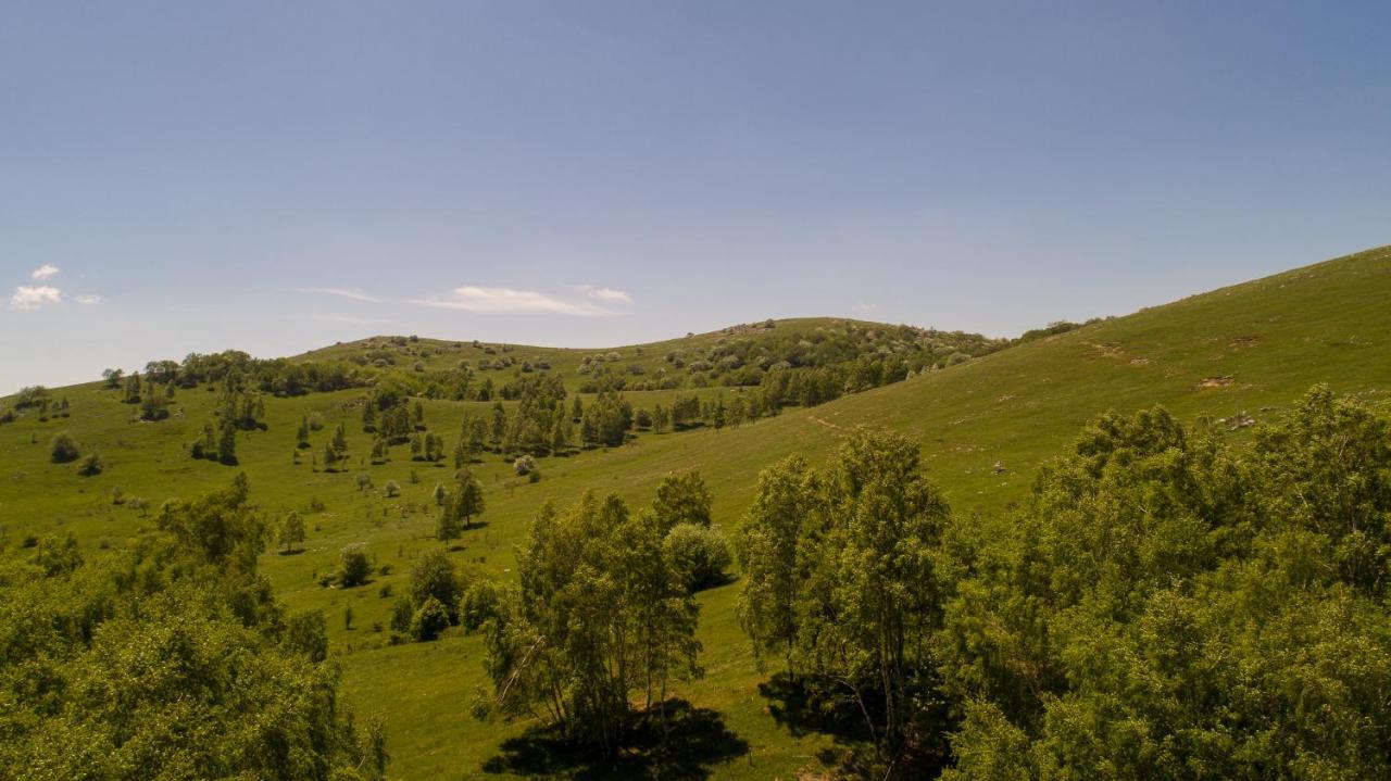 Vila Tea Villa Novi Vinodolski Dış mekan fotoğraf